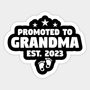 Promoted To Grandma 2023 Sticker